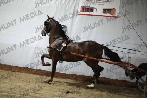JHM_1247