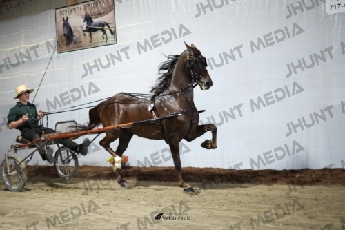 JHM_1252