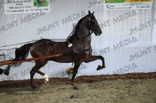 JHM_1253