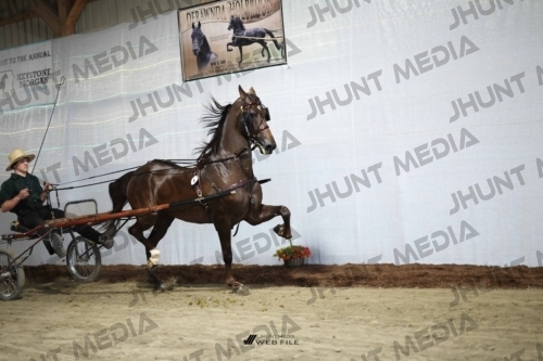 JHM_1254