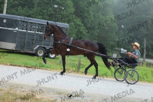 JHM_0416