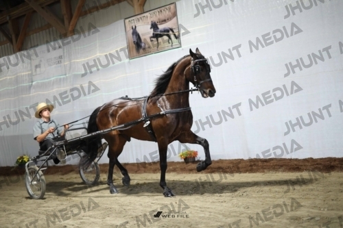 JHM_1261