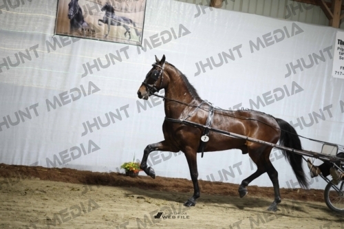 JHM_1263