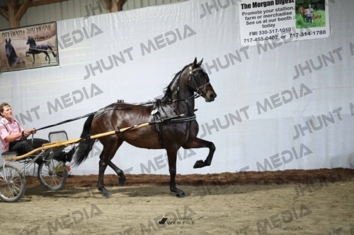 JHM_1273