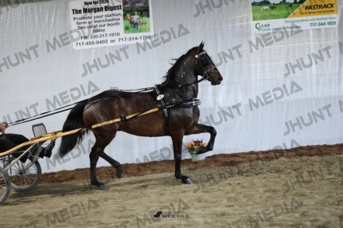 JHM_1274