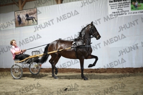JHM_1276