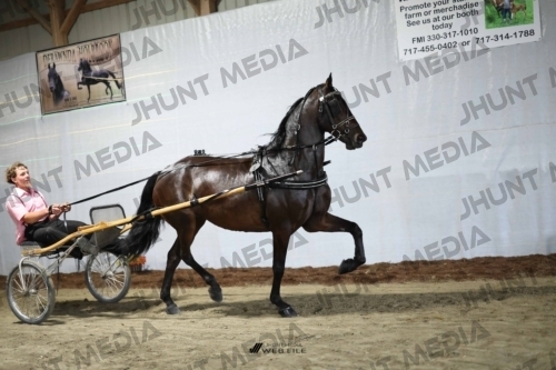 JHM_1279
