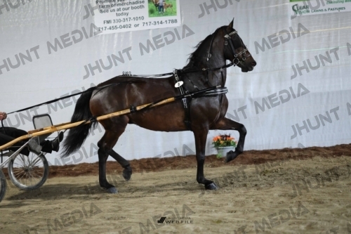 JHM_1280
