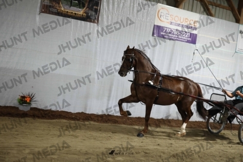 JHM_1287