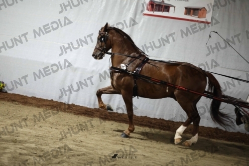 JHM_1289