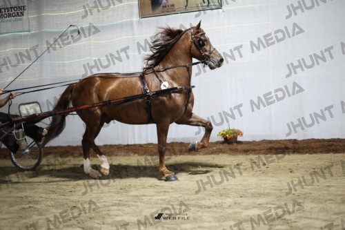 JHM_1293