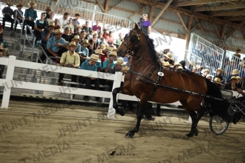 JHM_1294