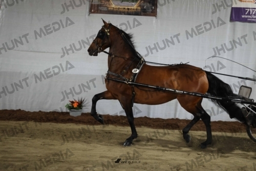 JHM_1296