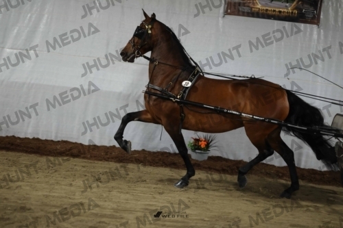 JHM_1299