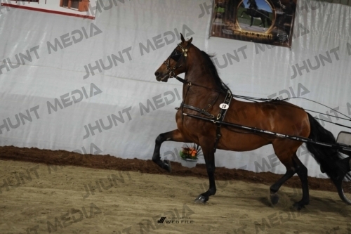 JHM_1301
