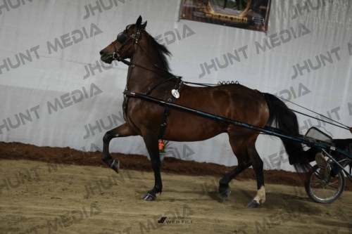 JHM_1316