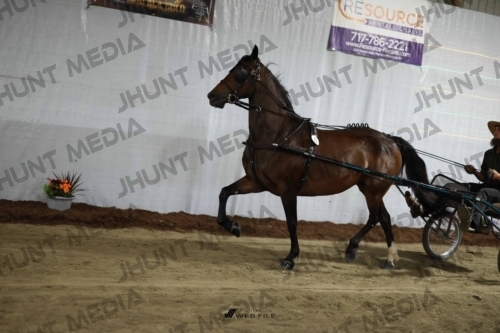 JHM_1319