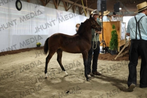 JHM_1321