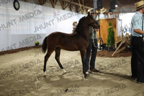 JHM_1322