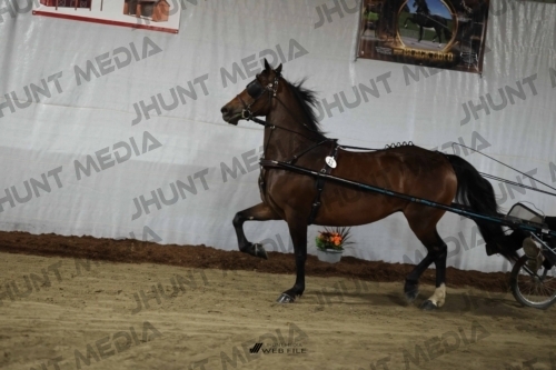 JHM_1324