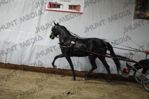 JHM_1337