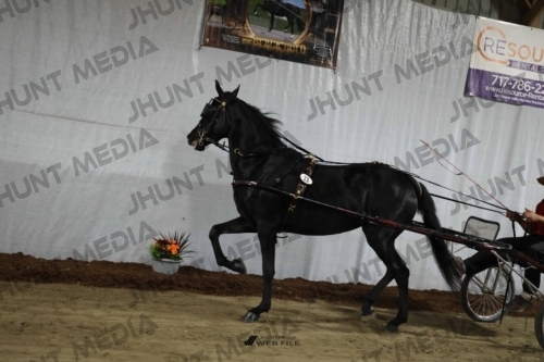 JHM_1339