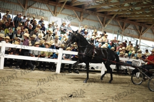 JHM_1340