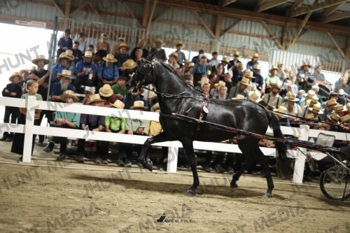 JHM_1341