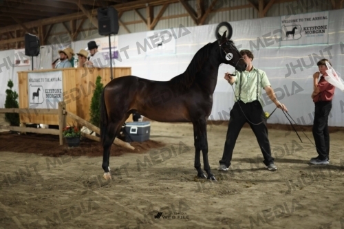 JHM_1351