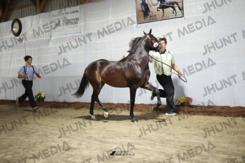 JHM_1353