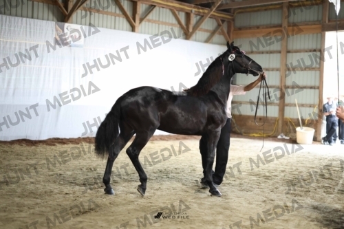 JHM_1356