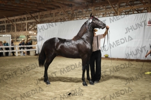 JHM_1360