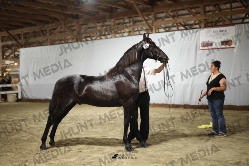 JHM_1361