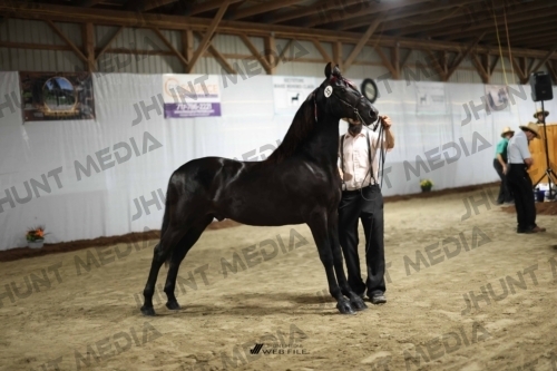 JHM_1363
