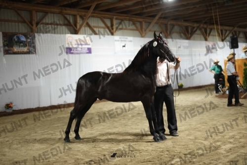 JHM_1364