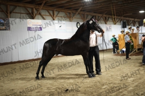 JHM_1366