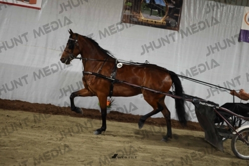 JHM_1371