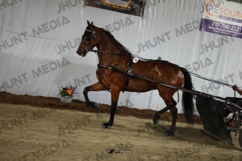 JHM_1373
