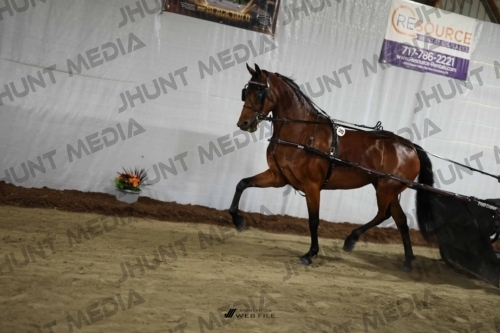 JHM_1375