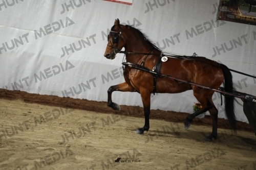 JHM_1376