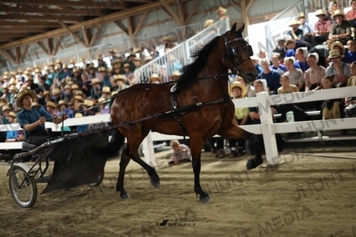 JHM_1381