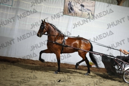 JHM_1383