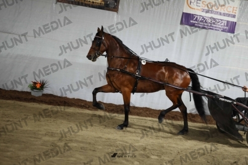 JHM_1386