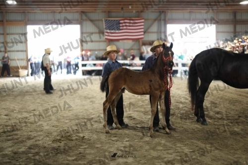 JHM_1389