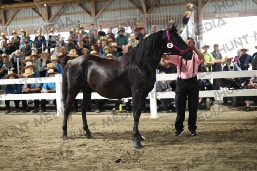 JHM_1397