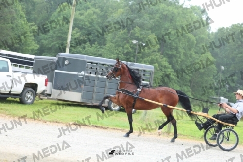 JHM_0789