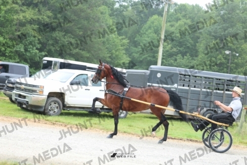 JHM_0790