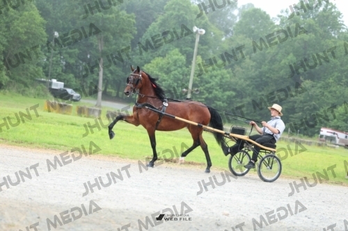 JHM_0806