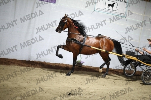 JHM_1402