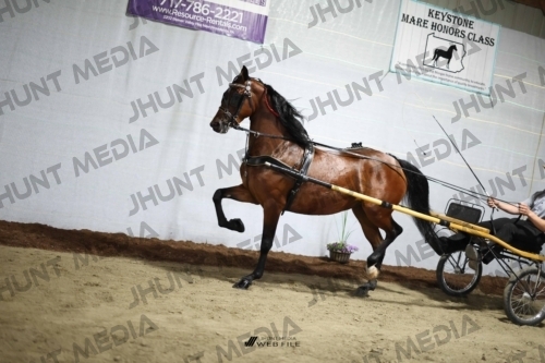 JHM_1407